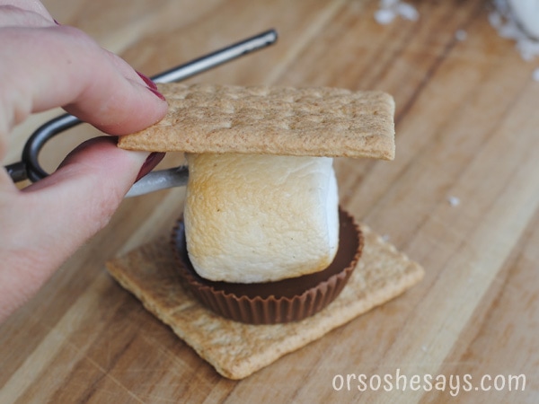 More S'more Recipes to enjoy around the campfire this Summer! #S'more #OSSS #FamilyFun #Campfire #SummerFood www.orsoshesays.com