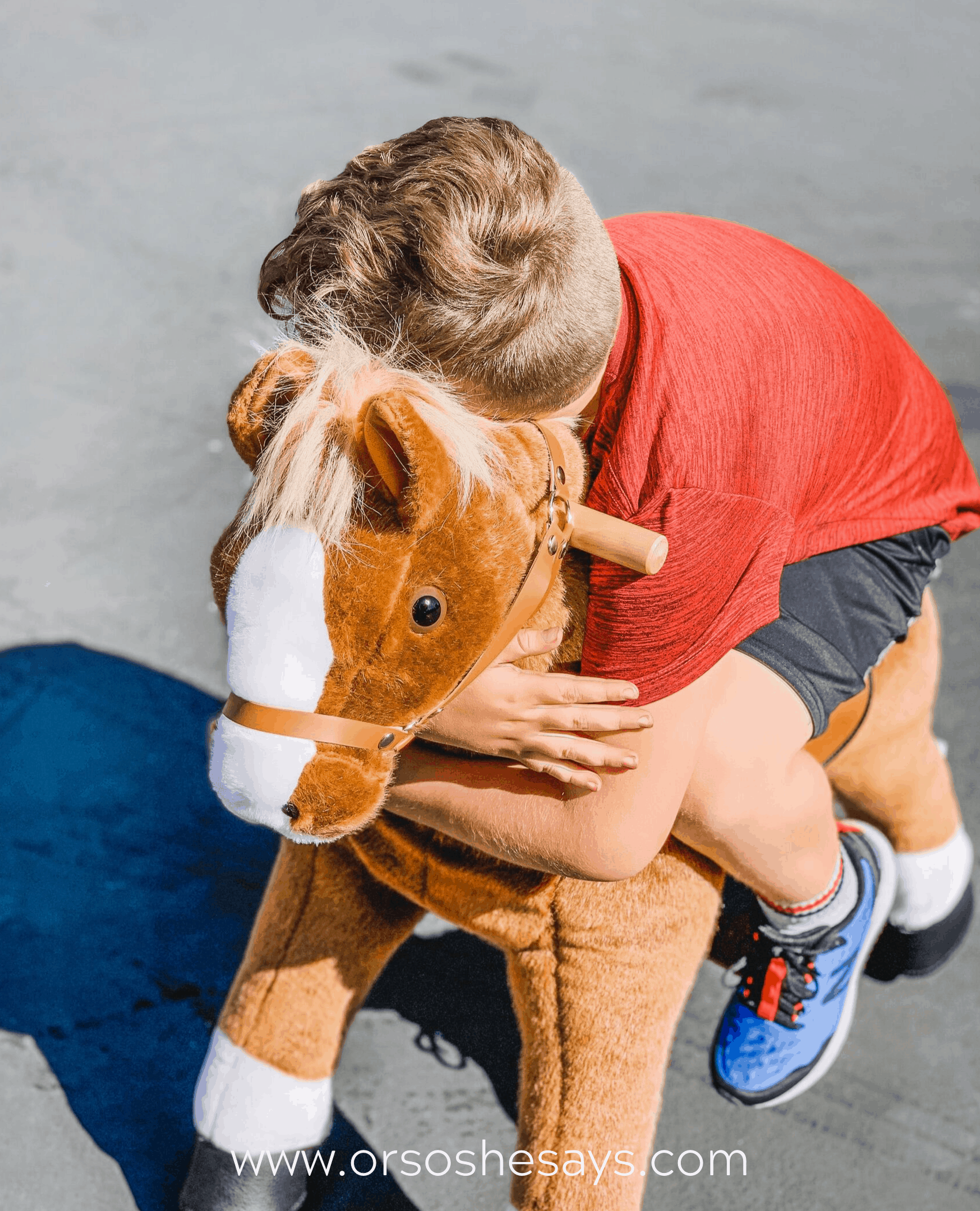 Baxy's Hobby Horse, The hobby horse I made my adorable neph…