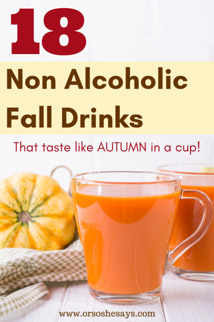 18 Non Alcoholic Drinks That Taste Like Autumn In A Cup Or So She Says