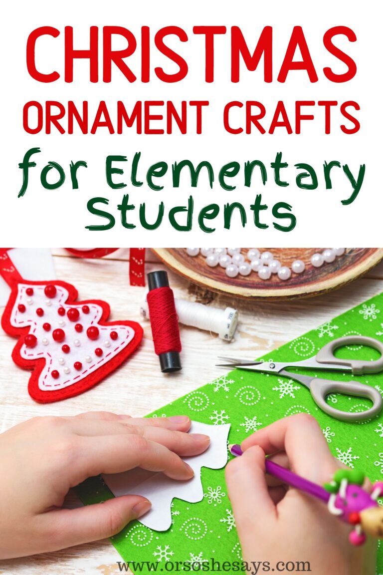 27 Christmas Ornaments Crafts for Elementary Students  Or so she says...