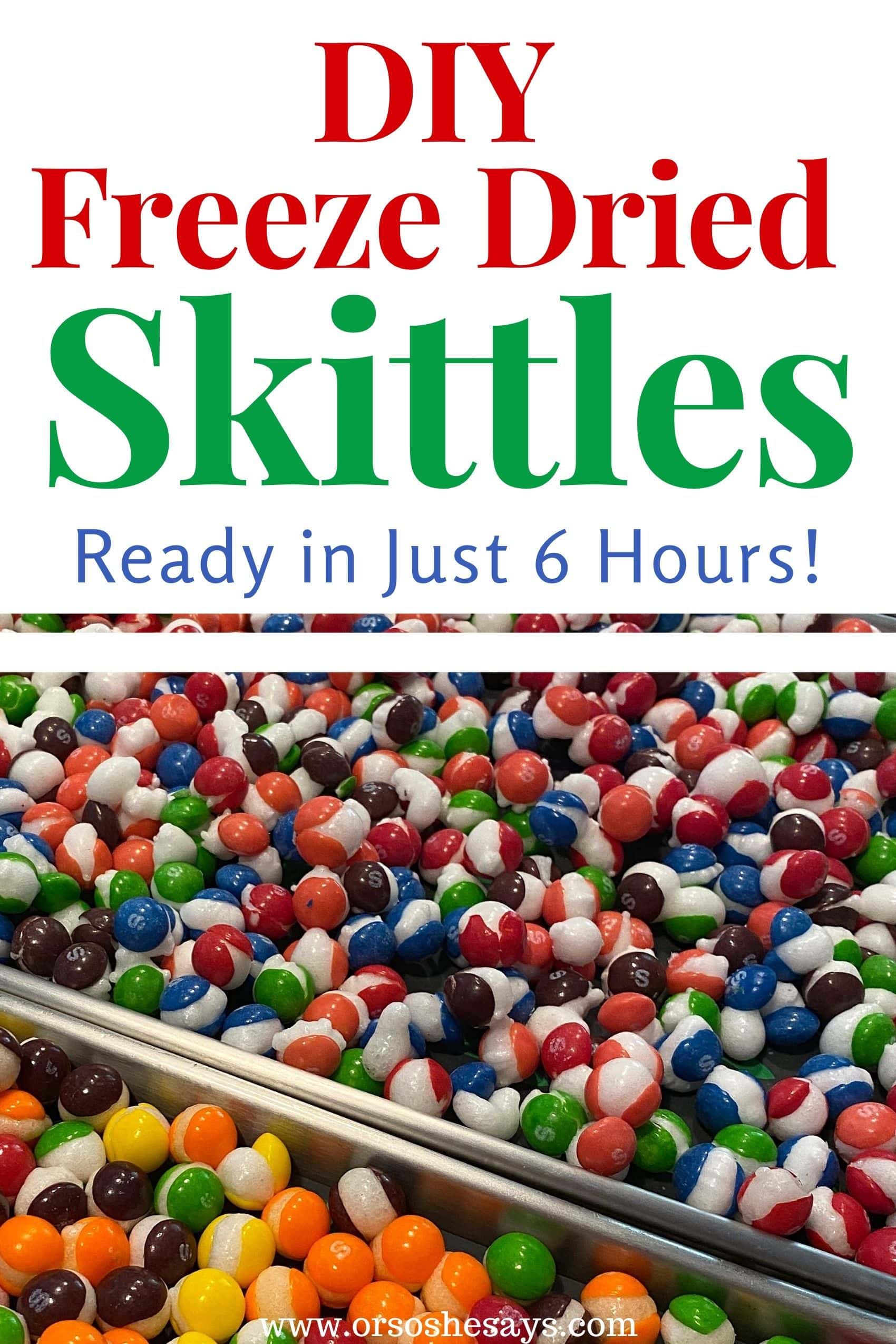 skittles ze dried candy