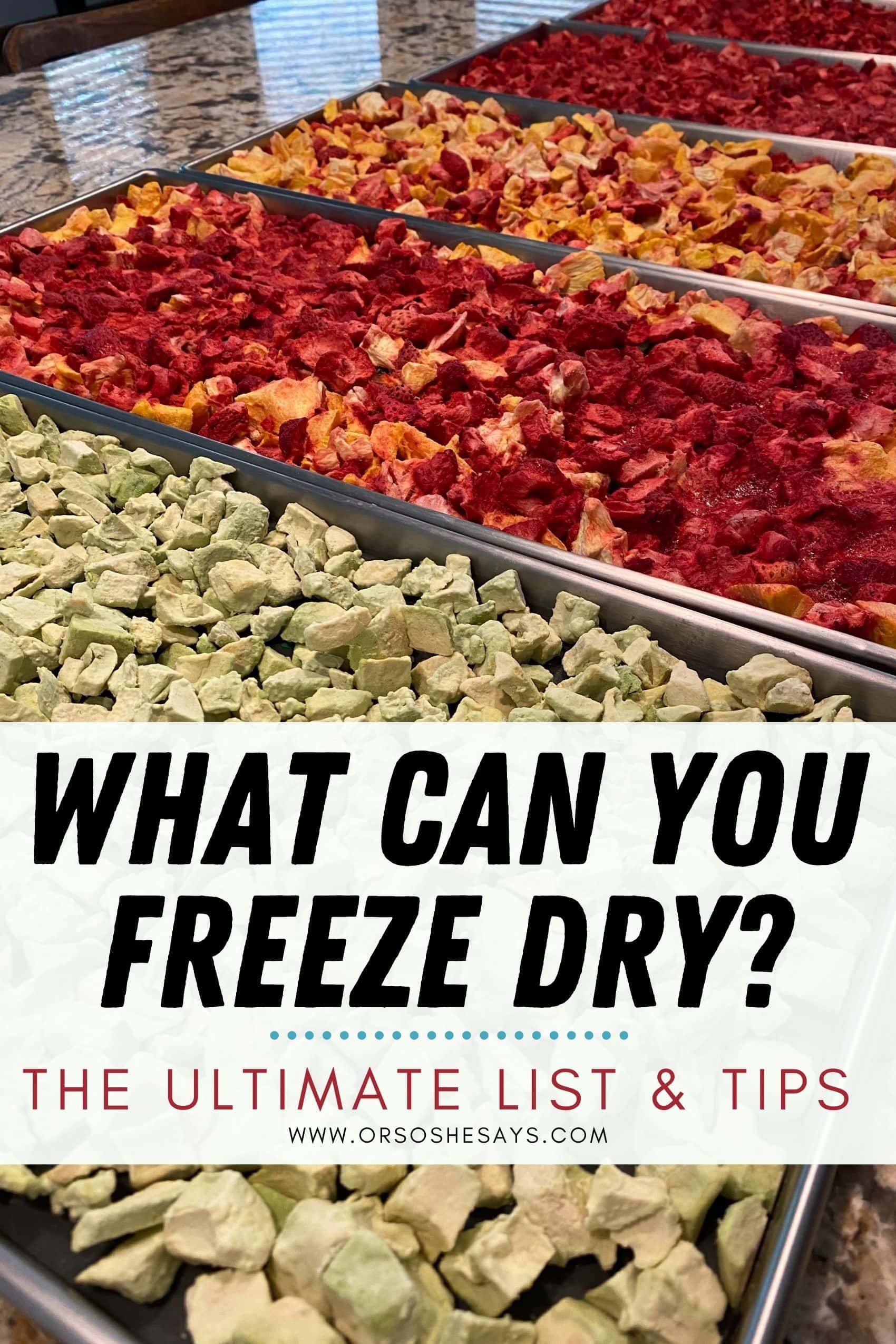 foods-you-can-put-in-your-freeze-dryer-the-ultimate-list-tips-or-so-she-says