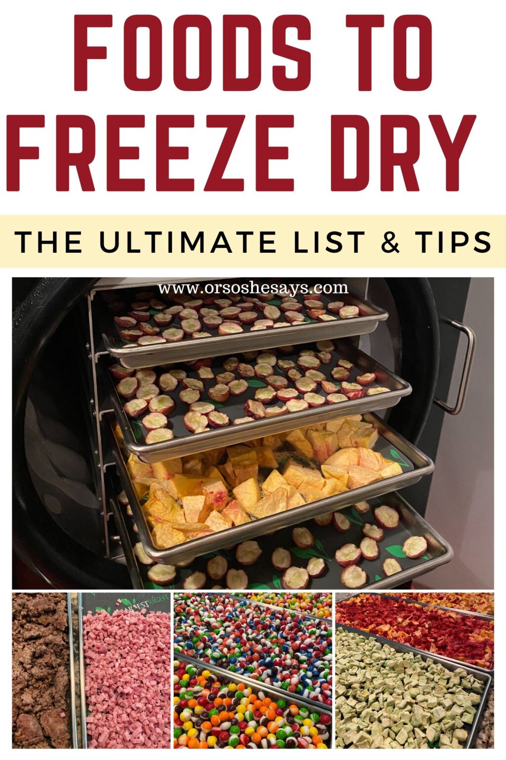 Foods You Can Put In Your Freeze Dryer The Ultimate List & Tips Or