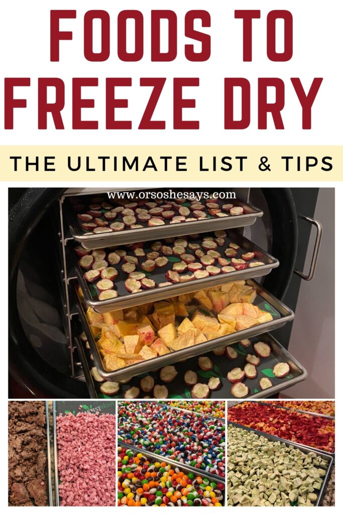 Freeze Dryer: Home-made freeze dried foods using the Harvest Right Freeze  Dryer